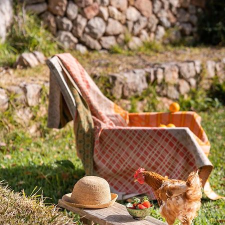 Agroturismo Son Viscos Valldemossa  Exterior foto