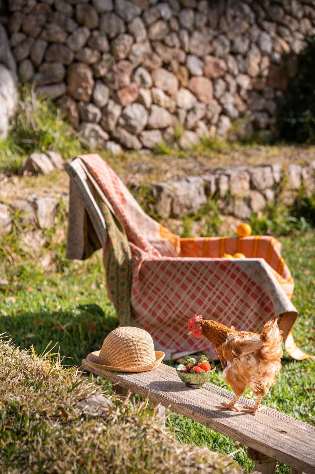 Agroturismo Son Viscos Valldemossa  Exterior foto